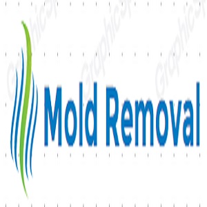 Mold Removal Colorado Springs LLC